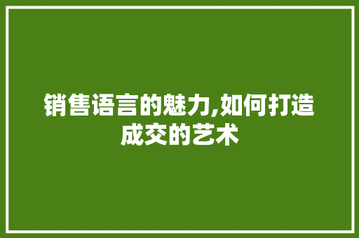 销售语言的魅力,如何打造成交的艺术