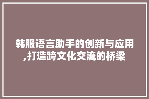 韩服语言助手的创新与应用,打造跨文化交流的桥梁