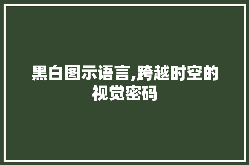 黑白图示语言,跨越时空的视觉密码 黑白图示语言,跨越时空的视觉密码