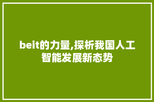 beit的力量,探析我国人工智能发展新态势