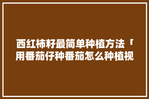 西红柿籽最简单种植方法「用番茄仔种番茄怎么种植视频」 西红柿籽最简单种植方法「用番茄仔种番茄怎么种植视频」 番茄种植技巧