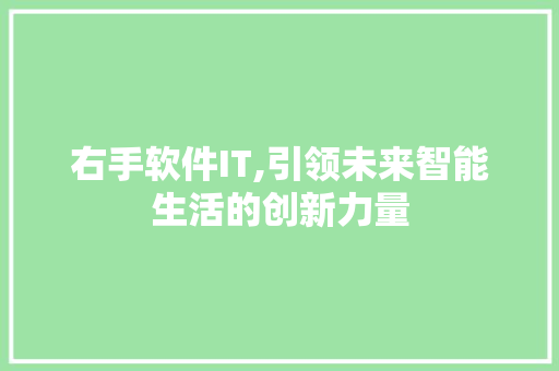 右手软件IT,引领未来智能生活的创新力量