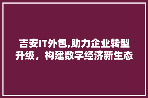 吉安IT外包,助力企业转型升级，构建数字经济新生态