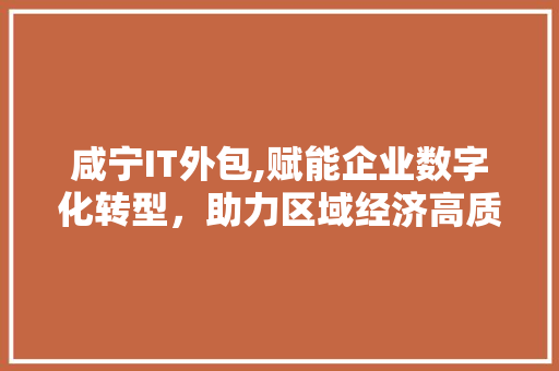 咸宁IT外包,赋能企业数字化转型，助力区域经济高质量发展