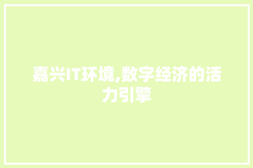 嘉兴IT环境,数字经济的活力引擎