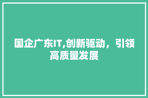 国企广东IT,创新驱动，引领高质量发展