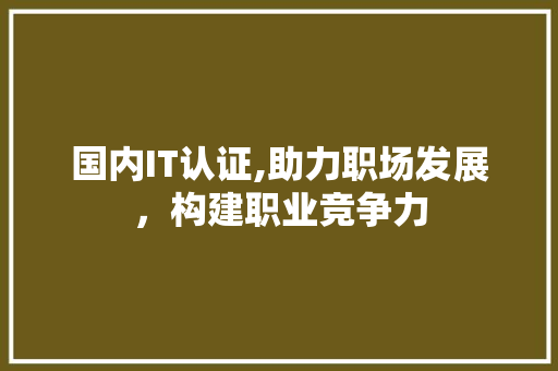 国内IT认证,助力职场发展，构建职业竞争力