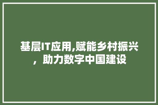 基层IT应用,赋能乡村振兴，助力数字中国建设
