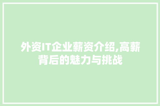 外资IT企业薪资介绍,高薪背后的魅力与挑战