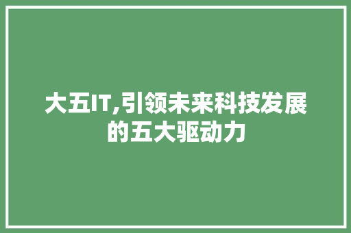 大五IT,引领未来科技发展的五大驱动力
