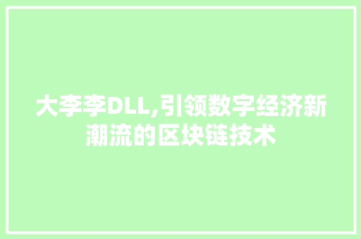 大李李DLL,引领数字经济新潮流的区块链技术