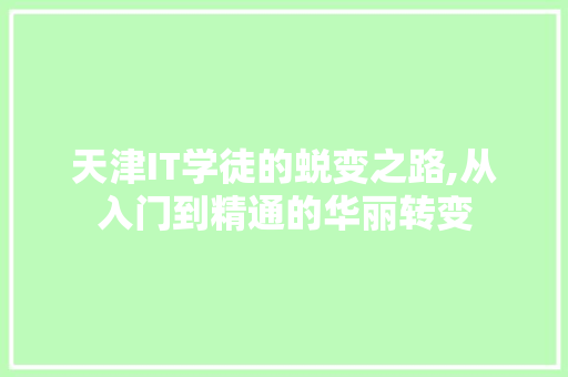 天津IT学徒的蜕变之路,从入门到精通的华丽转变