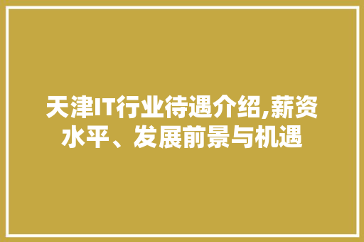 天津IT行业待遇介绍,薪资水平、发展前景与机遇