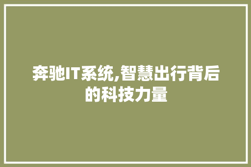 奔驰IT系统,智慧出行背后的科技力量