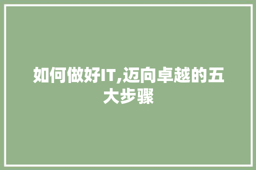 如何做好IT,迈向卓越的五大步骤
