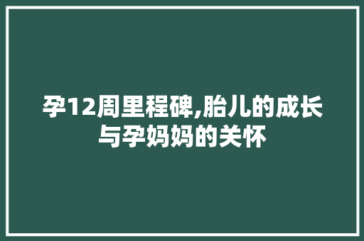 孕12周里程碑,胎儿的成长与孕妈妈的关怀