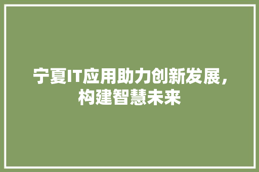 宁夏IT应用助力创新发展，构建智慧未来 番茄种植技巧