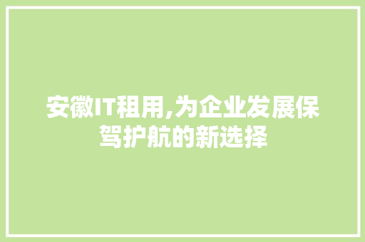 安徽IT租用,为企业发展保驾护航的新选择