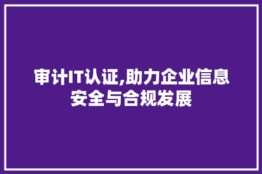 审计IT认证,助力企业信息安全与合规发展