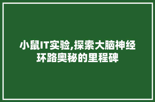 小鼠IT实验,探索大脑神经环路奥秘的里程碑