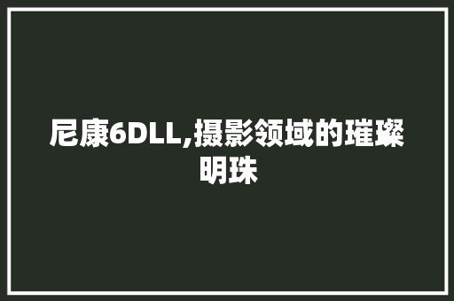 尼康6DLL,摄影领域的璀璨明珠