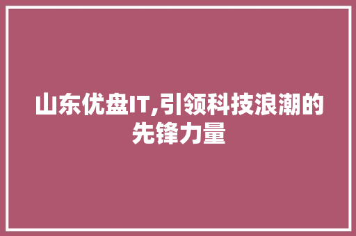 山东优盘IT,引领科技浪潮的先锋力量