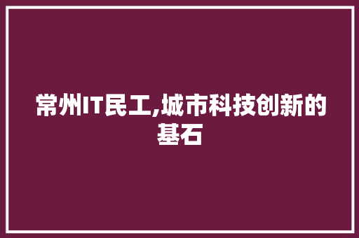 常州IT民工,城市科技创新的基石