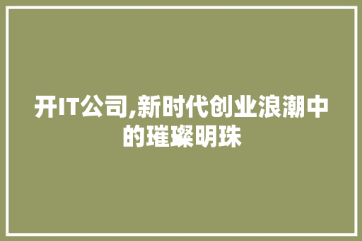 开IT公司,新时代创业浪潮中的璀璨明珠