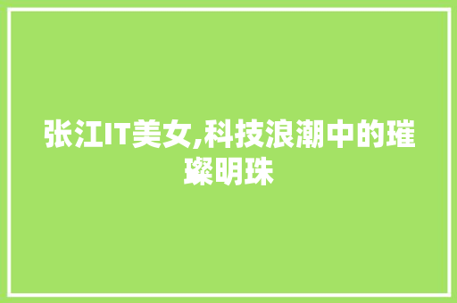 张江IT美女,科技浪潮中的璀璨明珠
