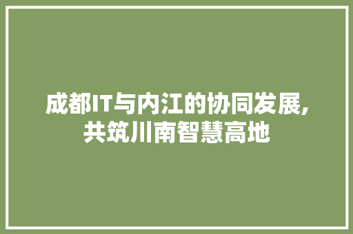 成都IT与内江的协同发展,共筑川南智慧高地