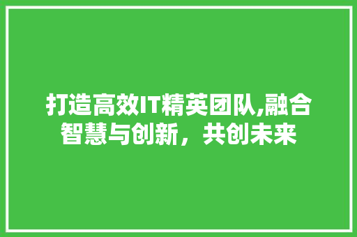打造高效IT精英团队,融合智慧与创新，共创未来