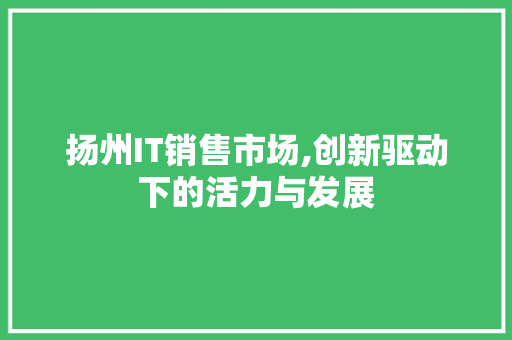 扬州IT销售市场,创新驱动下的活力与发展