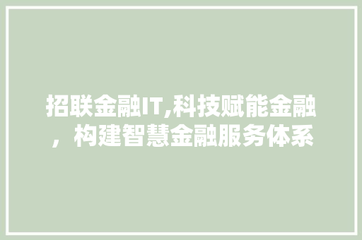招联金融IT,科技赋能金融，构建智慧金融服务体系