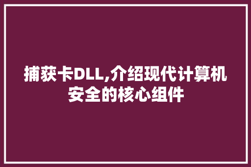 捕获卡DLL,介绍现代计算机安全的核心组件