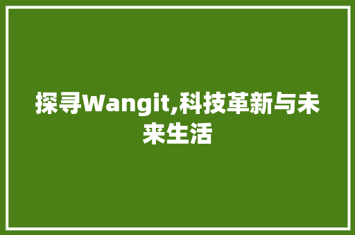 探寻Wangit,科技革新与未来生活