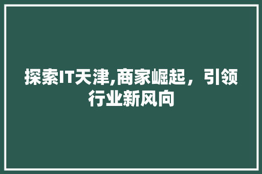 探索IT天津,商家崛起，引领行业新风向