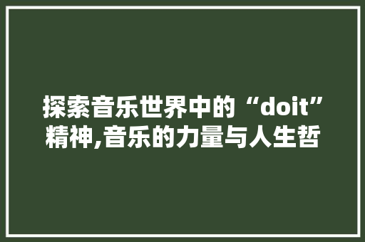 探索音乐世界中的“doit”精神,音乐的力量与人生哲学