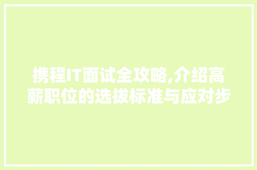 携程IT面试全攻略,介绍高薪职位的选拔标准与应对步骤