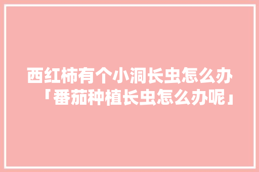 西红柿有个小洞长虫怎么办「番茄种植长虫怎么办呢」 西红柿有个小洞长虫怎么办「番茄种植长虫怎么办呢」 番茄种植技巧
