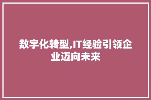 数字化转型,IT经验引领企业迈向未来