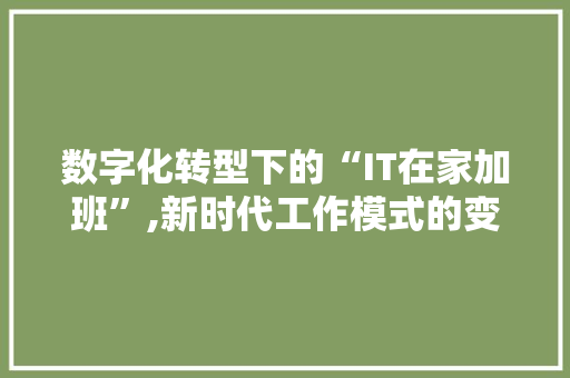数字化转型下的“IT在家加班”,新时代工作模式的变革与挑战