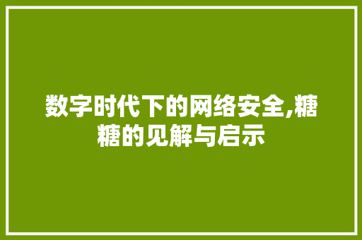 数字时代下的网络安全,糖糖的见解与启示