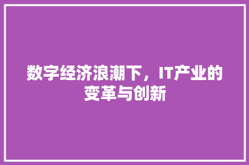 数字经济浪潮下，IT产业的变革与创新