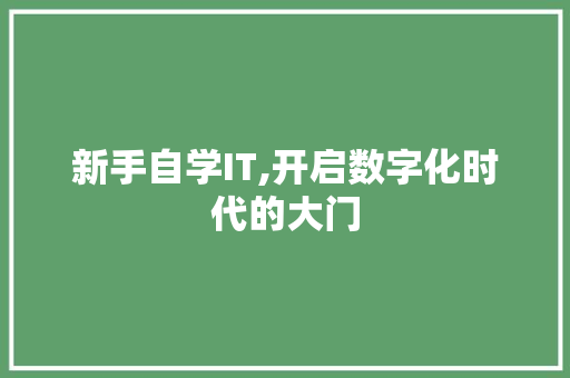 新手自学IT,开启数字化时代的大门