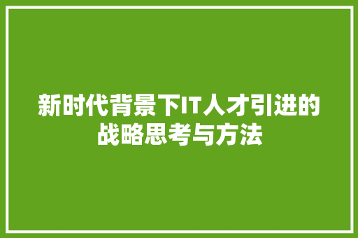 新时代背景下IT人才引进的战略思考与方法