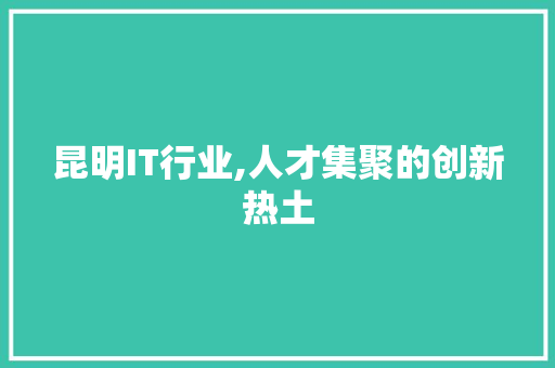 昆明IT行业,人才集聚的创新热土