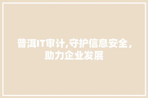 普洱IT审计,守护信息安全，助力企业发展