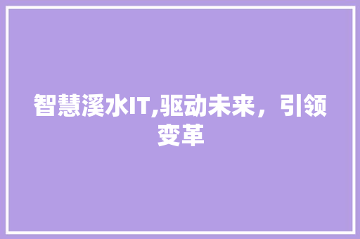 智慧溪水IT,驱动未来，引领变革