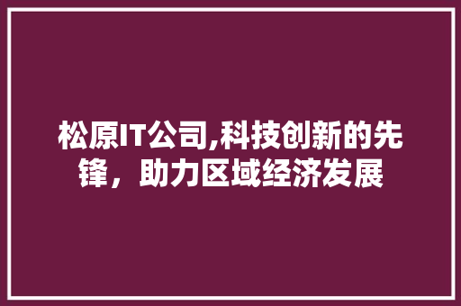 松原IT公司,科技创新的先锋，助力区域经济发展