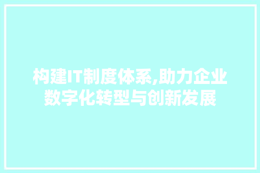 构建IT制度体系,助力企业数字化转型与创新发展